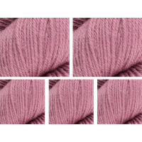 West Yorkshire Spinners The Croft Shetland Colours DK Value Pack 5x100g Clate 1152 500g